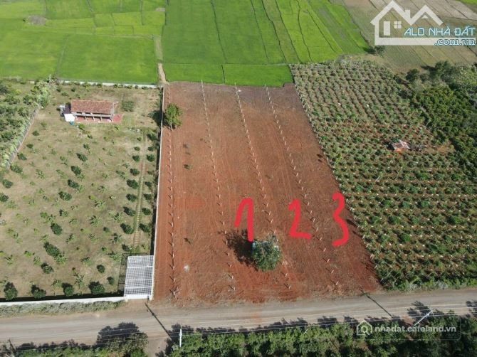 Bán đất nông, lâm nghiệp: ĐẤT SÀO VIEW RUỘNG - DIỆN TÍCH 1 SÀO (11x90) : Giá 700