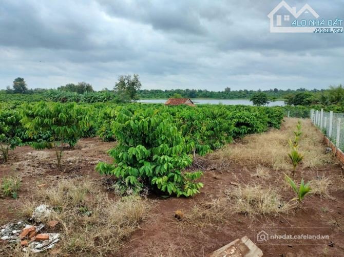 Bán đất nông, lâm nghiệp: 3,7SÀO 2 MẶT TIỀN. VIEW NHÌN RA HỒ BA VÒI. 500TR/SÀO