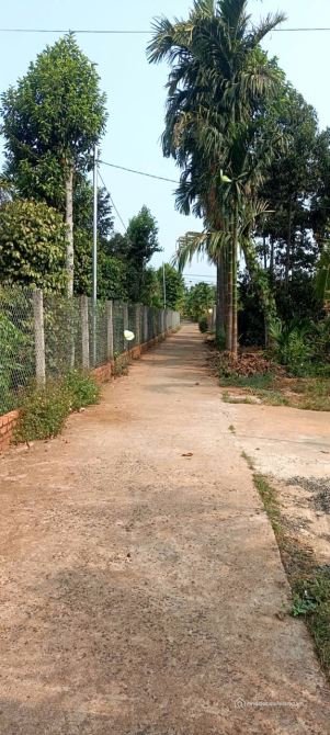 Bán đất nông, lâm nghiệp: CẦN BÁN LÔ ĐẤT NÔNG NGHIỆP PHƯỜNG EAKAO