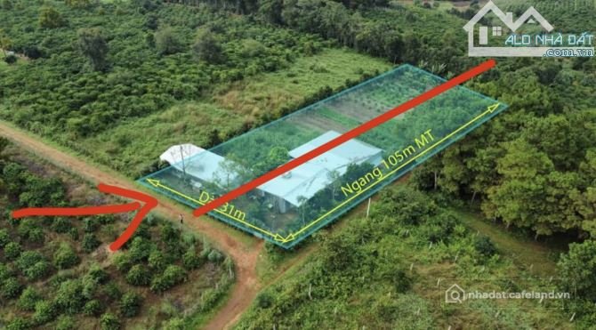 Bán đất nông, lâm nghiệp: ĐẤT VƯỜN HẺM TRƯỜNG SA – PHÙ HỢP LÀM VƯỜN