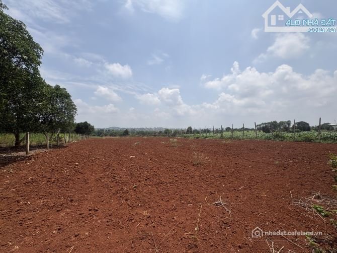 Bán đất nông, lâm nghiệp: 3.200m2 Đất hẻm Trương Định gần hồ câu cá Năm Tân