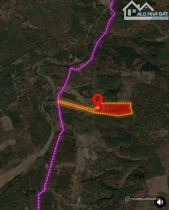 Bán đất nông, lâm nghiệp: 2,1ha đất trống đất cây lâu năm- Ia Grai