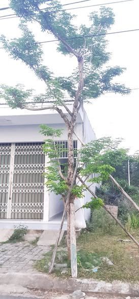 Cho thuê phòng trọ: Cho thuê phòng trọ: Cho thuê phòng trọ: Cho thuê phòng trọ: