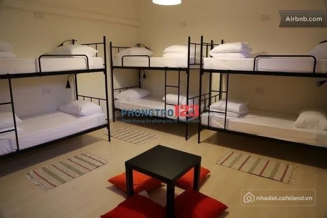 Cho thuê phòng trọ: Cho thuê phòng trọ: Cho thuê phòng trọ: Hệ thống trọ Homesta