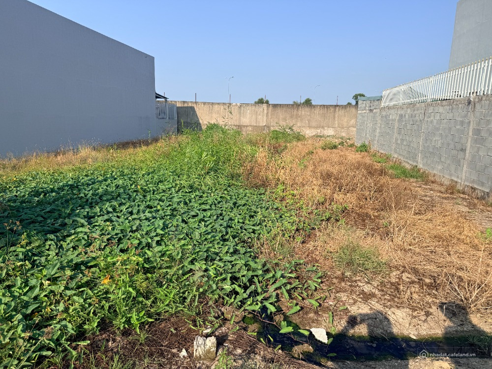 ĐẤT ĐẸP - CHÍNH CHỦ 300m2 tại X. Long Can, H. Cần Được, Tây Ninh (LA cũ)