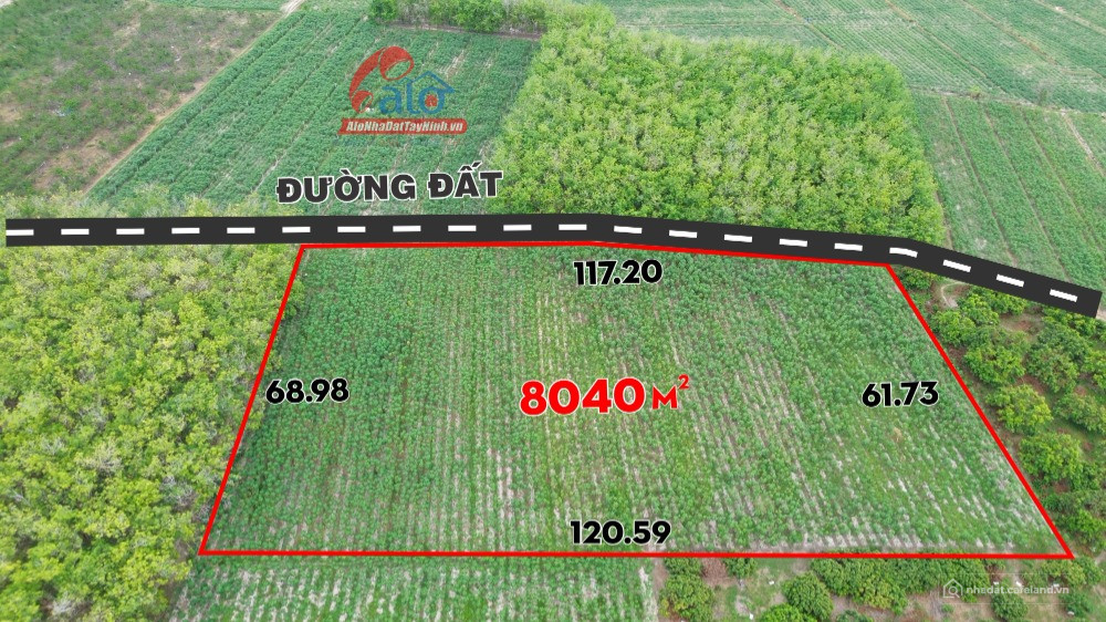 bán Gấp 117 mét mặt đường tại phường Ninh Thạnh, Tây Ninh giá 25 triệu/m ngang