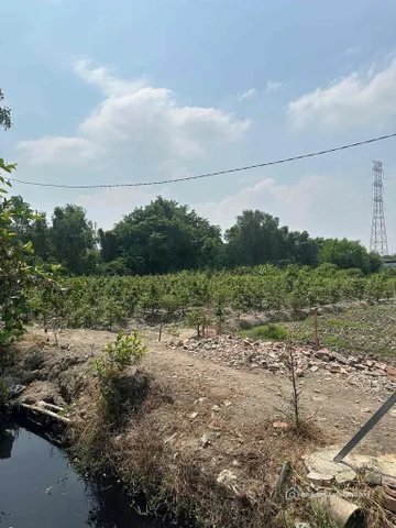Cho thuê mặt bằng: Cho thuê đất: Cho thuê 2000m Đất giá 30 triệu/tháng. hẻm xe t