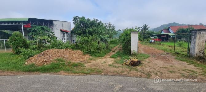 Bán đất nông, lâm nghiệp: 5.3ha Đất Vườn Ngộp Lâm Đồng Có Thể Trồng Các Loại Cây