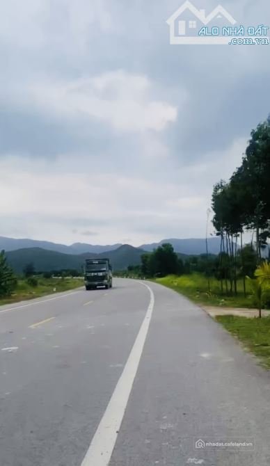 Bán đất nông, lâm nghiệp: Mặt Tiền Trần Thái Tông BÁN 8.500m² ĐẤT FULL CLN – MỄ