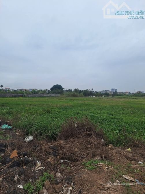 Bán đất nông, lâm nghiệp: Bán 4ha đất công nghiệp nhà xưởng 50 năm tại Mỹ Hào, H