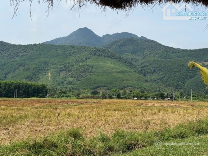 Bán đất nông, lâm nghiệp: Cần bán gấp đất vườn Nam Yên - Hòa Bắc (tiềm năng lên