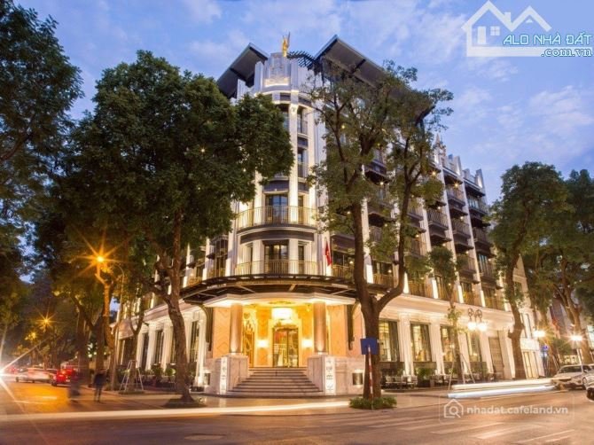 Bán căn hộ Mini, Dịch vụ: Tòa VP Kinh Doanh 5 Tầng Góc 2MT đường Lê Đại Hành -Gi