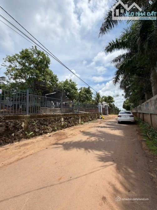 Bán đất nông, lâm nghiệp: ĐẤT SÀO MẶT TIỀN HẺM 442 YMOAN TẶNG NHÀ CẤP 4 Ở TỐT -