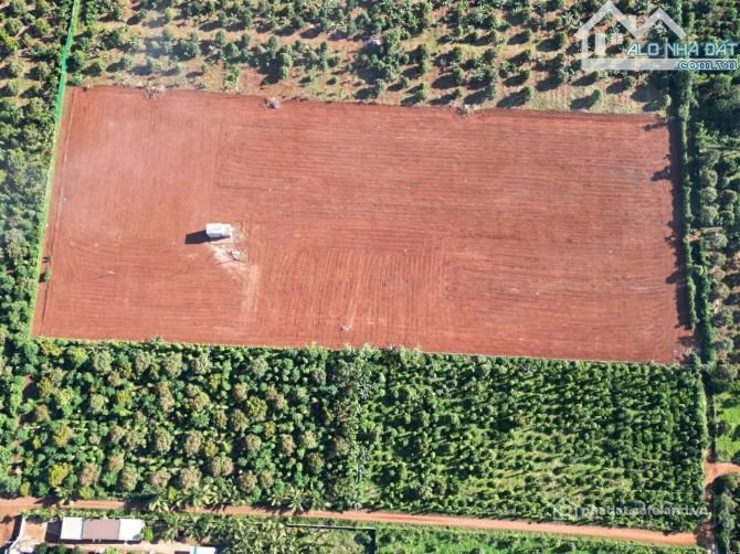 Bán đất nông, lâm nghiệp: 2.5HA ĐẤT RẪY SẴN NGUỒN THU EA POK, 3 MẶT TIỀN 350M, 1