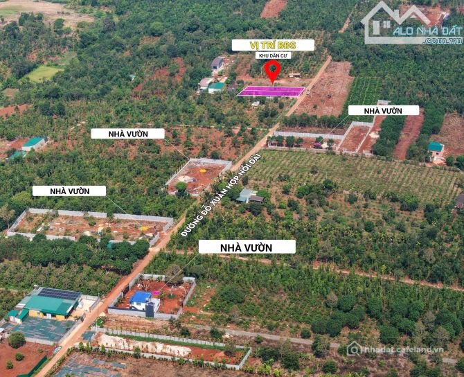 Bán đất nông, lâm nghiệp: BÁN 2 LÔ NÔNG NGHIỆP NHÀ VƯỜN MẶT TIỀN ĐỖ XUÂN HỢP