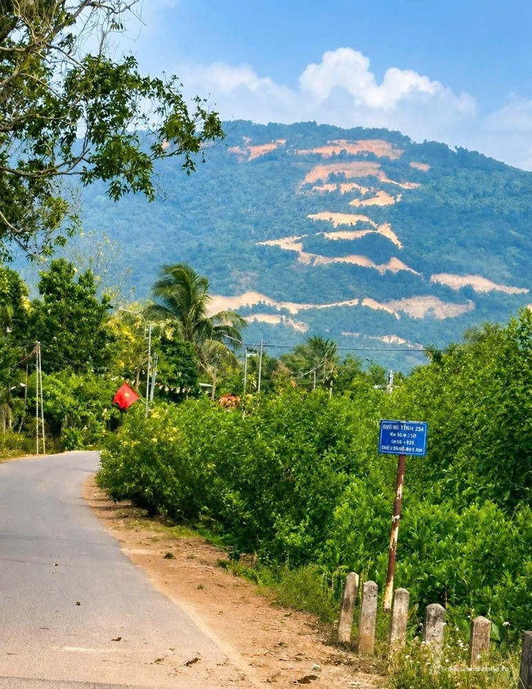 Chính Chủ Bán 1000m2 Đất Vườn + ONT. Gần Núi Chứa Chan, P. Xuân Lộc, ĐN