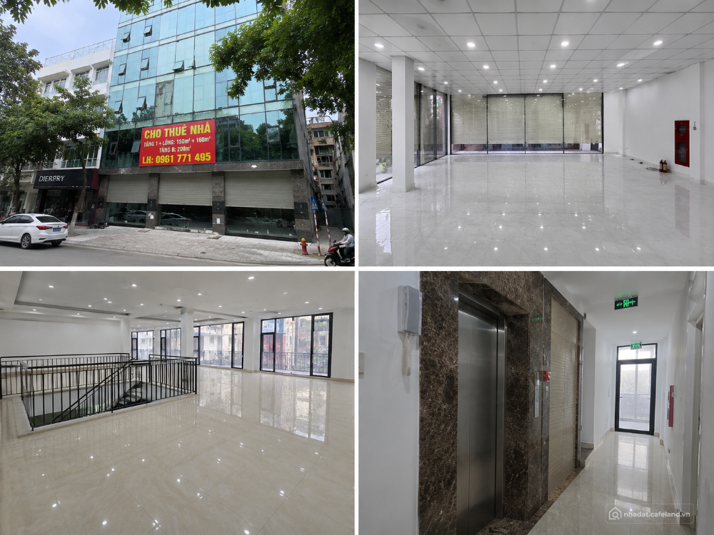 DƯƠNG ĐÌNH NGHỆ – CẦU GIẤY | TÒA NHÀ THANG MÁY