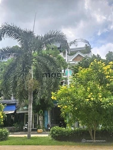 Cho thuê căn hộ chung cư: Căn hộ chung cư: Cho thuê nhà mặt tiền Nguyễn Thế Truy