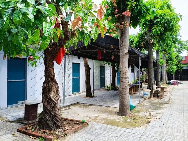 Cho thuê căn hộ chung cư: Cho thuê căn hộ chung cư: Cho thuê Căn hộ chung cư 30m