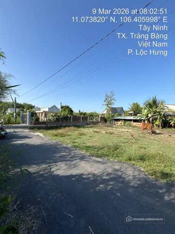 Bán kho, nhà xưởng: Bán 10m ngang đất làm kho, xưởng đường tỉnh lộ 2 kênh đông g