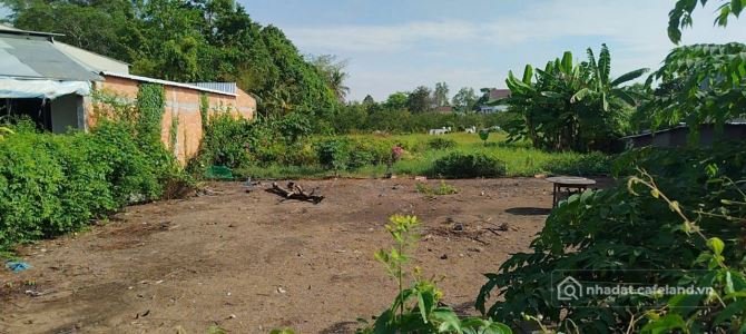 Bán đất nông, lâm nghiệp: BÁN 1.447m² ĐẤT MẶT TIỀN TỈNH LỘ 852 – LẤP VÒ, ĐỒNG TH