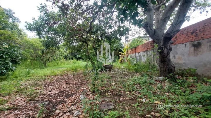 Cho thuê mặt bằng: Cho thuê mặt bằng: Cho thuê mặt bằng: Cho thuê Mặt bằng kinh