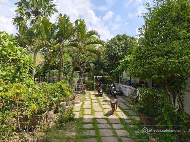 Cho thuê mặt bằng: Cho thuê mặt bằng: Cho thuê mặt bằng: Cho thuê mặt bằng: Cho