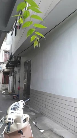 Cho thuê nhà riêng: Cho thuê Nhà riêng 50m2 giá 14 triệu tại Đường Q. Hà Đông Ph