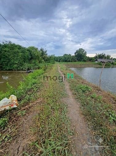 Bán đất nông, lâm nghiệp: Tân Đông, Tân Tập, 390tr/1018,8m² Đất nông nghiệp