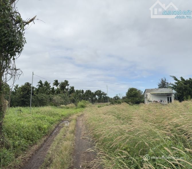 Bán đất nông, lâm nghiệp: 200m hơn 5 SÀO – MẶT ĐƯỜNG ĐẸP – THÔN 5 HÒA KHÁNH