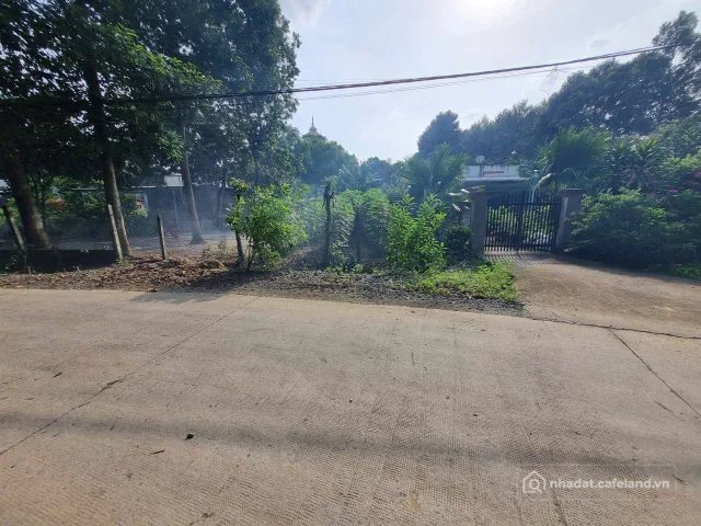 Cho thuê đất: (S681) Cho thuê đất xã Phú Hòa Đông, dt 1000m2, giá 500k/m2