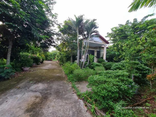 Cho thuê nhà riêng: (L446) Cho thuê nhà vườn mặt tiền Gốc Rưng, dt đất 1.756m2,