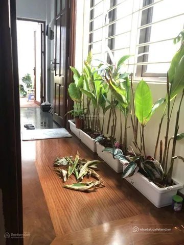Cho thuê nhà riêng: Cho thuê nhà riêng: Cho thuê nhà riêng: Cho thuê nhà riêng:
