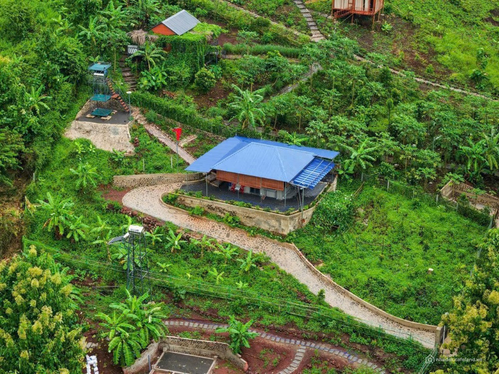 1,1 tỷ sở hữu 1.500m² đất view sông La Ngà – Mua hôm nay, giữ giá trị mai sau