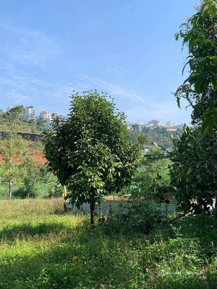 Cho thuê phòng trọ: Nhà cấp 4