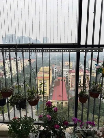 Cho thuê căn hộ chung cư: Cho thuê Căn hộ chung cư 62m2 giá 12.5 triệu tại Đường