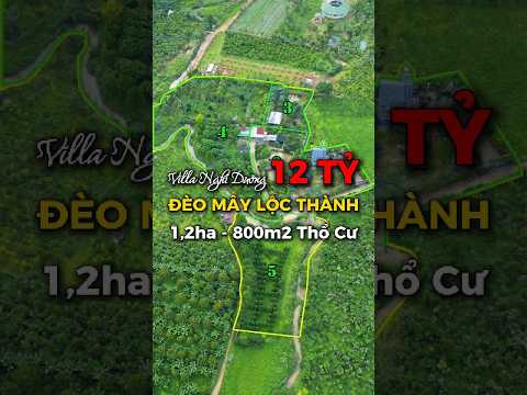 [A001] BIỆT THỰ NGHỈ DƯỠNG BẢO LỘC - SIÊU PHẨM ĐÈO MÂY LỘC THÀNH 1,2HA