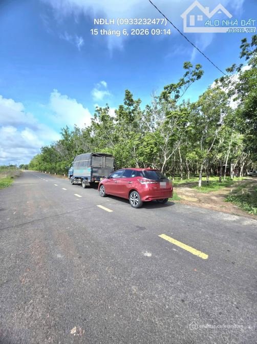 Bán đất nông, lâm nghiệp: Bán hơn 10 HA cao su bến cừ ninh điền chỉ có 12 tỷ