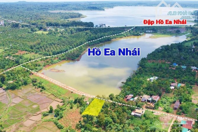 View hồ nhỏ Ea Nhái ôm mặt hồ 24m dài 43m giá 1,5 tỷ full cà phê, sầu riêng