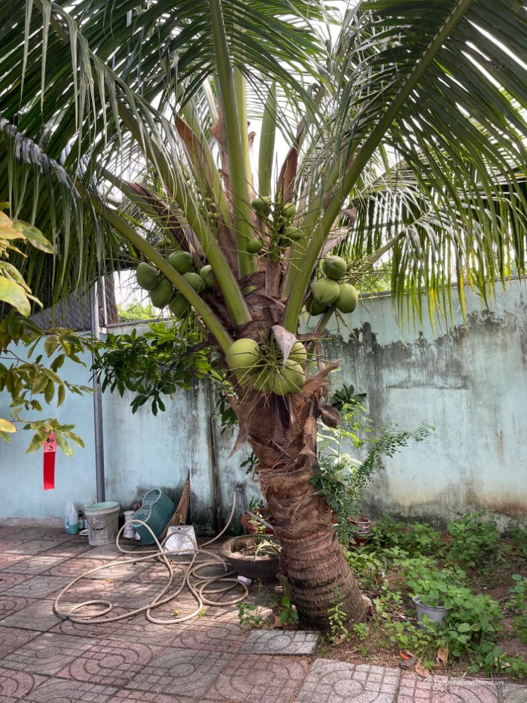 Chủ cần bán: Lô nhà đất 496m2 ngay QL55 gần chợ An Ngãi- xã Long Điền, giá 3.5tỷ