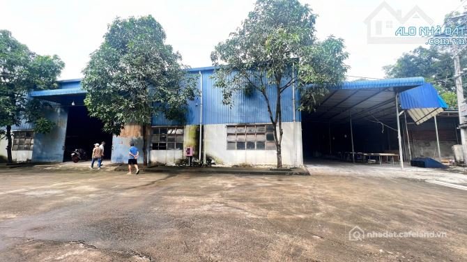 Bán kho, nhà xưởng: Bán nhà xưởng sản xuất gỗ Nội Thất xuất nhập khẩu, Trảng Bom