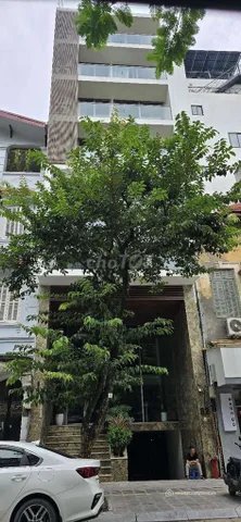Cho thuê văn phòng: CHO THUÊ TÒA NHÀ 1T3L (CÓ HẦM VÀ TẦNG LỬNG) MẶT TIỀN XÔ VI