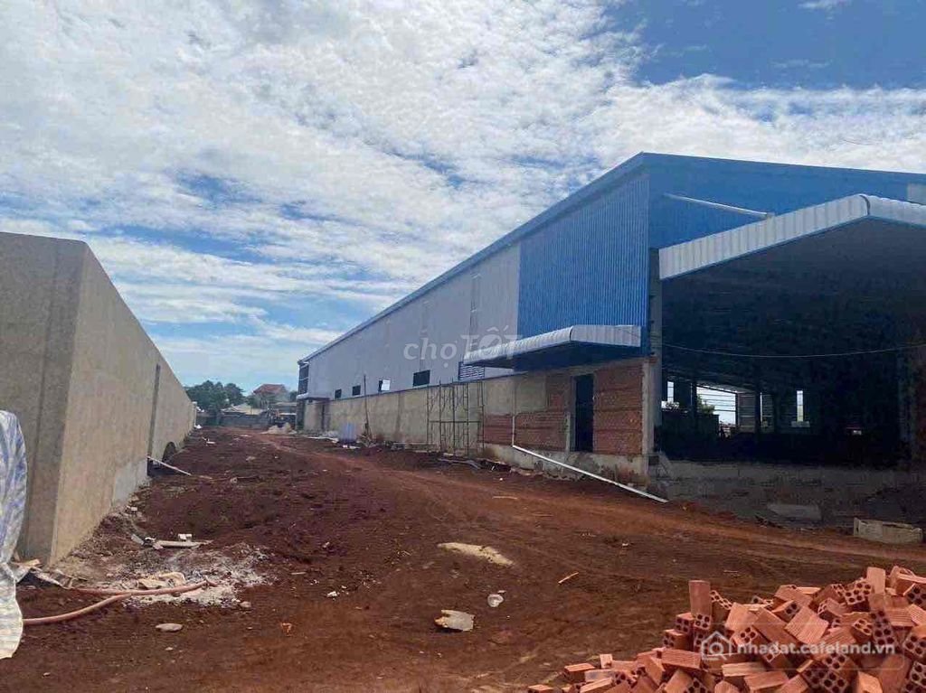 Nhà hàng - Khách sạn: BÁN NHÀ XƯỞNG 7.700M²-MẶT TIỀN 50M-CÁCH QL13 CHỈ 100M-Xã L