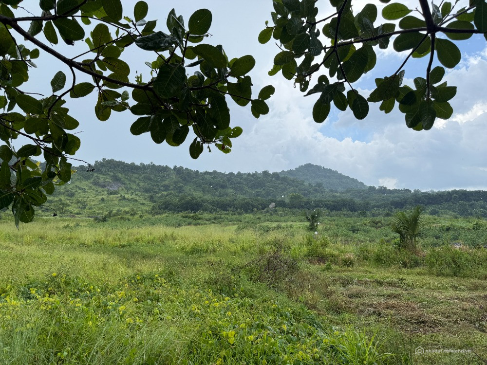 CHỈ 800 TRIỆU - KHOẢNG 9.000M² ĐẤT TÂN MINH - LÂM ĐỒNG