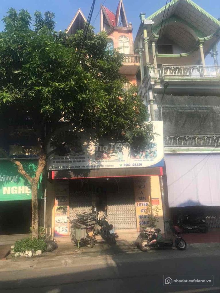 Văn phòng: Nhà Nguyên căn