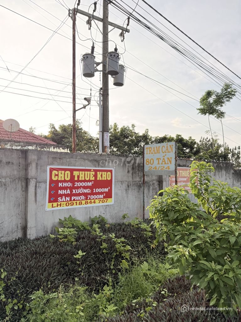 Văn phòng: CHO THUÊ TỔ HỢP KHO- SÂN