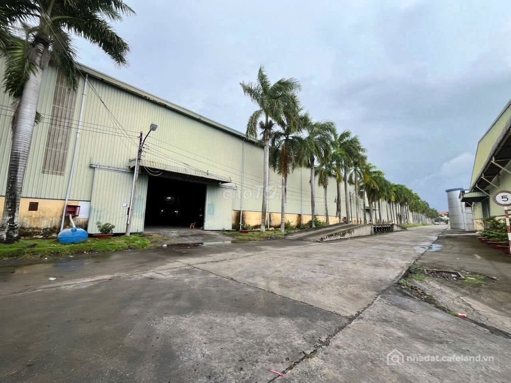 Văn phòng: Kho xưởng bãi và khuôn viên 65.000 m² kho xây dựng 21.000 m² có PCCC