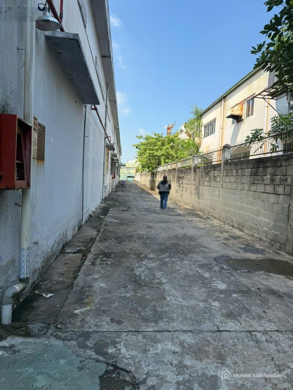 Bán kho, nhà xưởng: Bán nhà máy KCN Tân Bình 3.128m2 có sẵn nhà xưởng, giá 60 tỷ