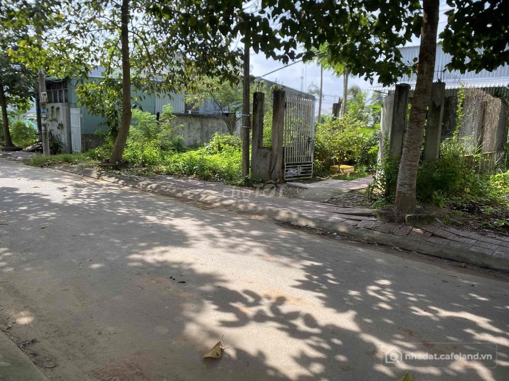 Biệt thự: cho thuê nhà nguyên căn