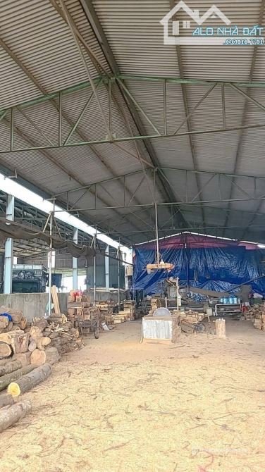 Bán kho, nhà xưởng: X028 Bán xưởng gần 1700m2 ( nở hậu) mặt tiền hơn 20m - Giá 9